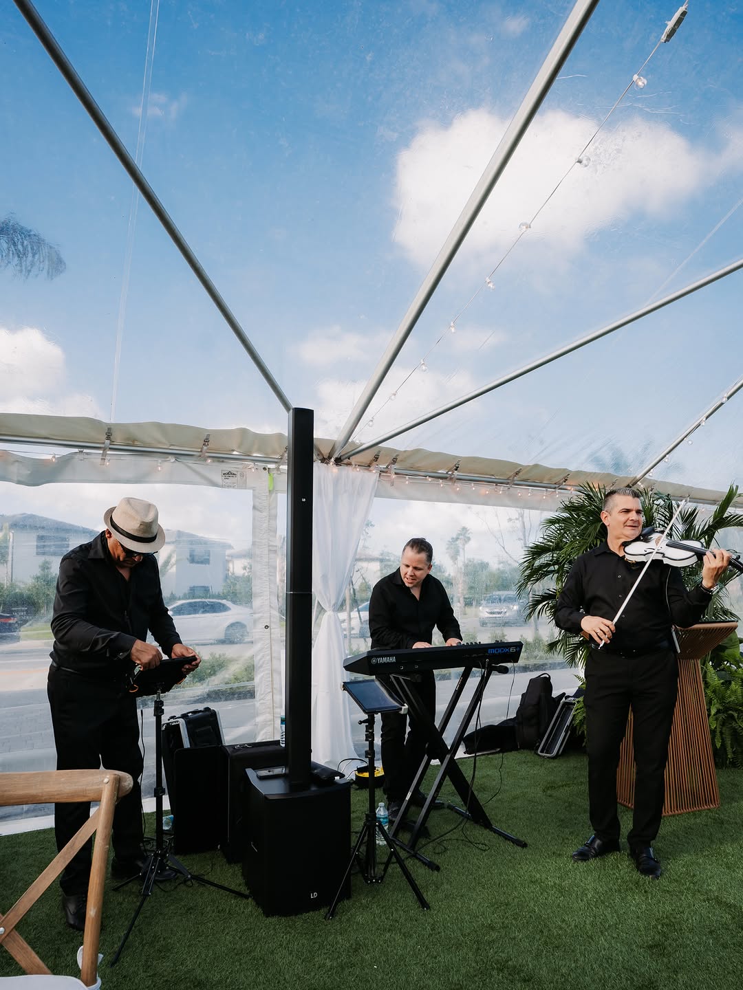 Live entertainment, sax and strings